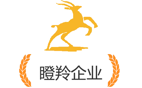 瞪羚企业